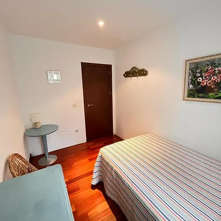 Carmen Horcajo Villa *