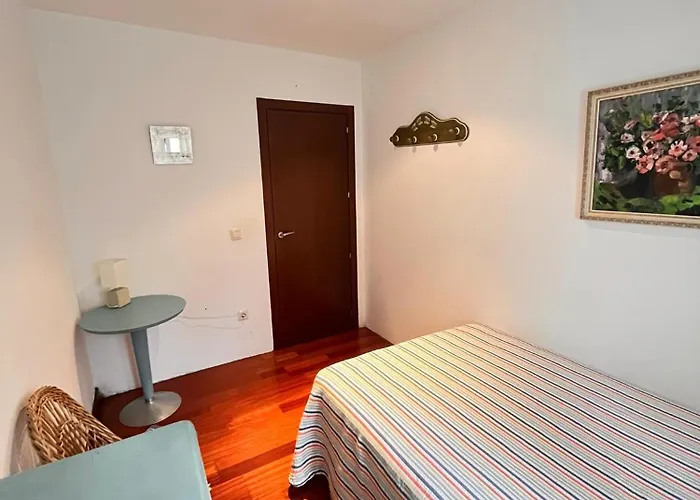 Carmen Horcajo Villa *